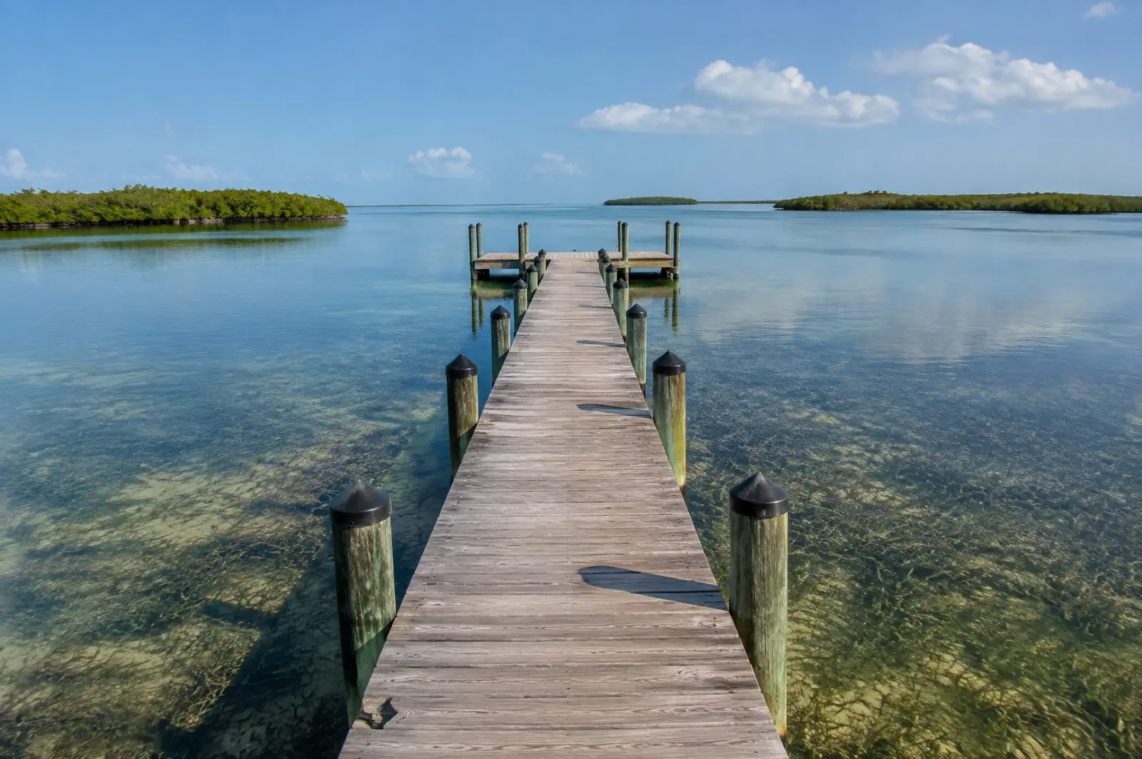 Narrow elevated pier over shallow seagrass with a small terminal platform at the end in deeper water
