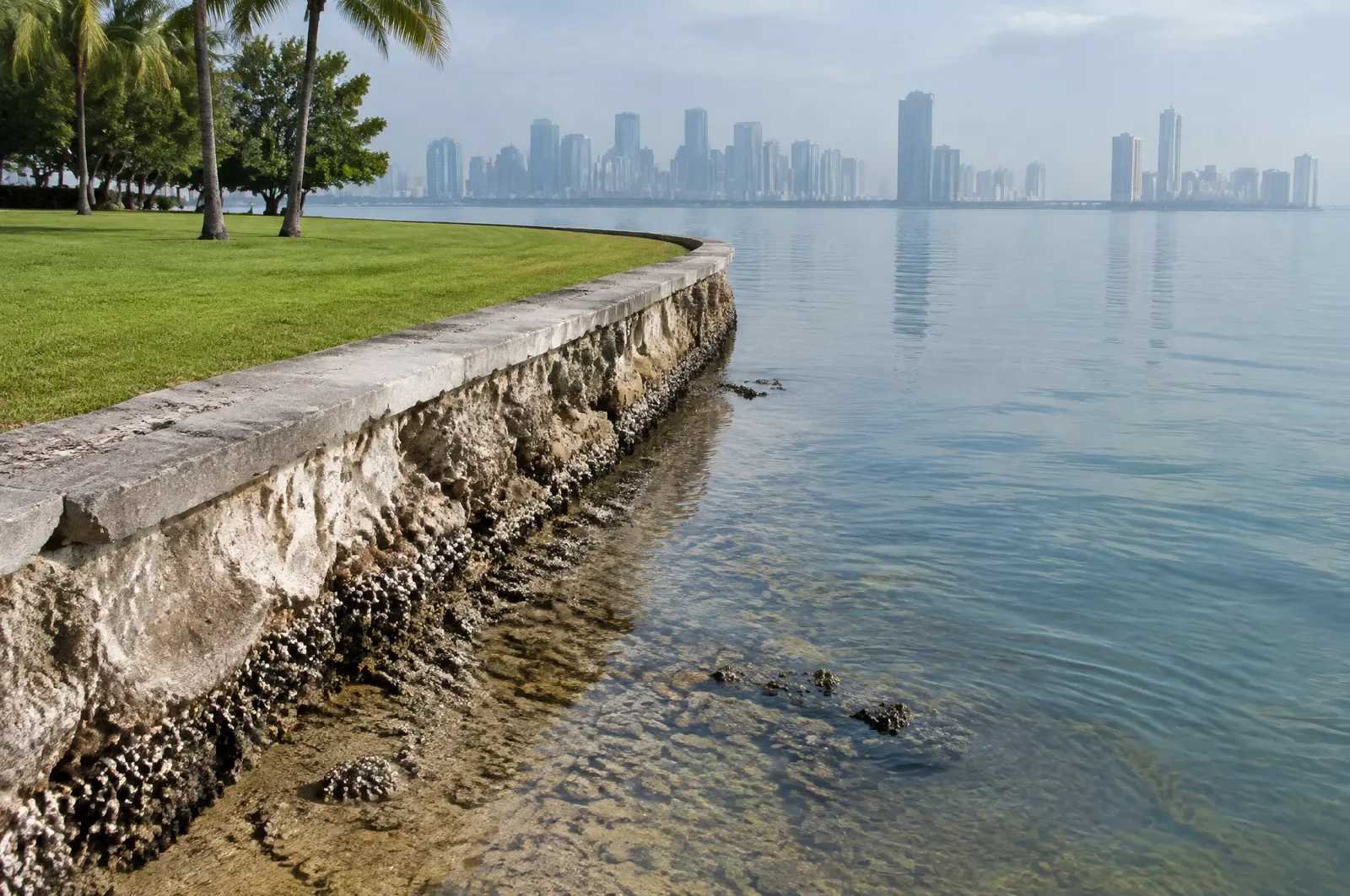 Older bayfront seawall with a coral rock face on Biscayne Bay, with high-rises across the water
