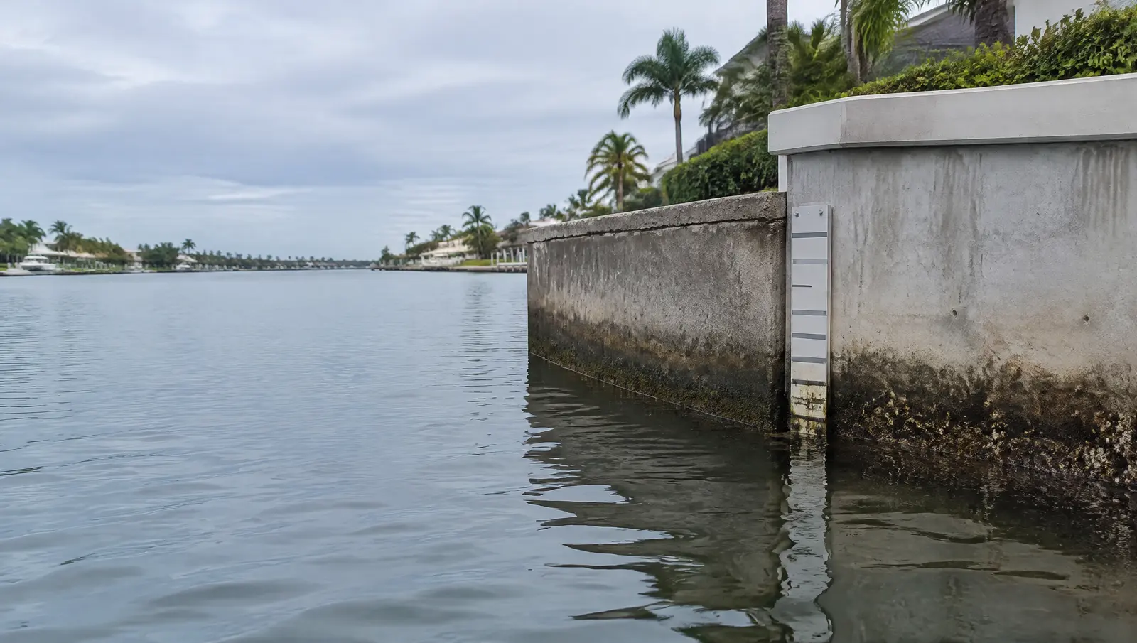 Tide gauge board on a seawall face with the water high on the wall beside a raised cap section
